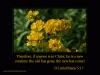 Full screen photo of buttercups with text about 'new creatures'
