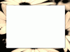 white screen bordred with photos of flowers