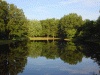 Photo of trees reflected on lake.