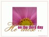 Close-up photo of pink flower with words 'on the third day, he arose...' resurrection 
