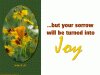 Full screen image, left side is close up of yellow flowers on the right the text 'but your sorrow will be turned into joy'