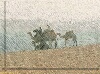 Textured photo of camels in desert with border on left and bottom, low contrast, Joseph, Egypt