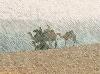Textured photo of camels in desert, low contrast, Joseph, Egypt