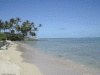 Photo of beach shore with trees in far background.