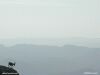 Photograph of silhouette of ibex (mountain goat) against a cloud (fog) covered mountain horizon, mostly light gray, good for text