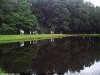 Photo of lake shore with trees reflected on water