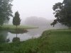 Photo of lake with fog on shore and tree