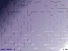 lavendar gradient background with randomly sized blocks embossed, abstract