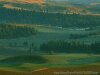 Full screen photo of green rolling hills and trees, low contrast, no sky