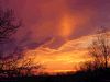 Photo of sunset through clouds, framed with trees