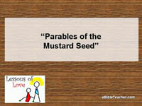 Mustard Seed Flip Chart Cover Page.