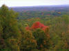 fall photo without border for use as powerpoint background image