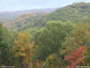 fall background hillside with trees turning colors for use as powerpoint background