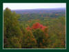 fall nature photo for autmn theme powerpoint background