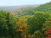 hillside with leaves turning autmn colors for use as powerpoint background