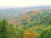 Photo of hills in fall with trees turning colors for use as a powerpoint graphic.