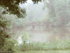 fog over a still pond in the woods for use as a powerpoint graphic.