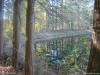 Trees reflected in still waters - a beautiful fall photo for a powerpoint background.