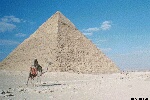 Color photo of Egyptian pyramid with man on camel, during the day. Free for use.