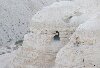 Color photo of cave in Qumran where dead sea scrolls were found by shepherd, free for use.