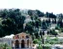 Color photo of the Mount of Olives, where Jesus prayed in the Garden of Gethsemane.