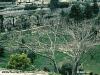 Color photo of potter's field, where Judas was buried.