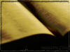 Full screen photo of person reading Bible, low contrast