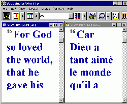 screen shot of two languages of john 3:16 on screen